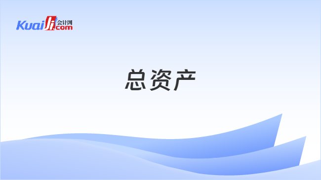总资产