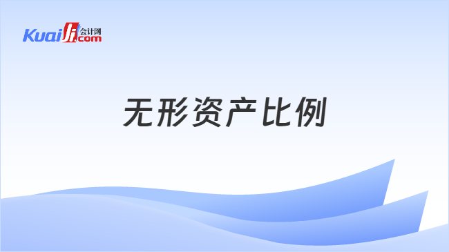 无形资产比例
