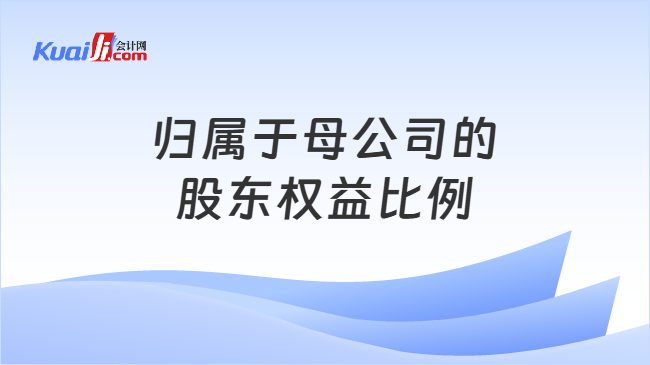 归属于母公司的股东权益比例