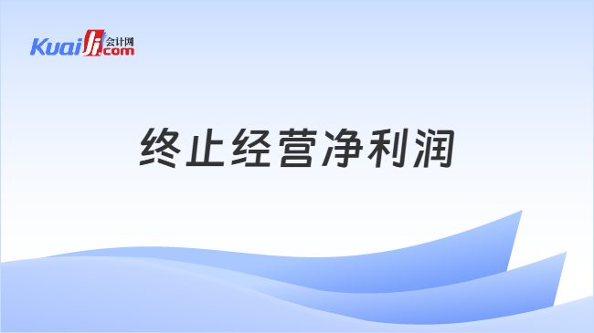 终止经营净利润